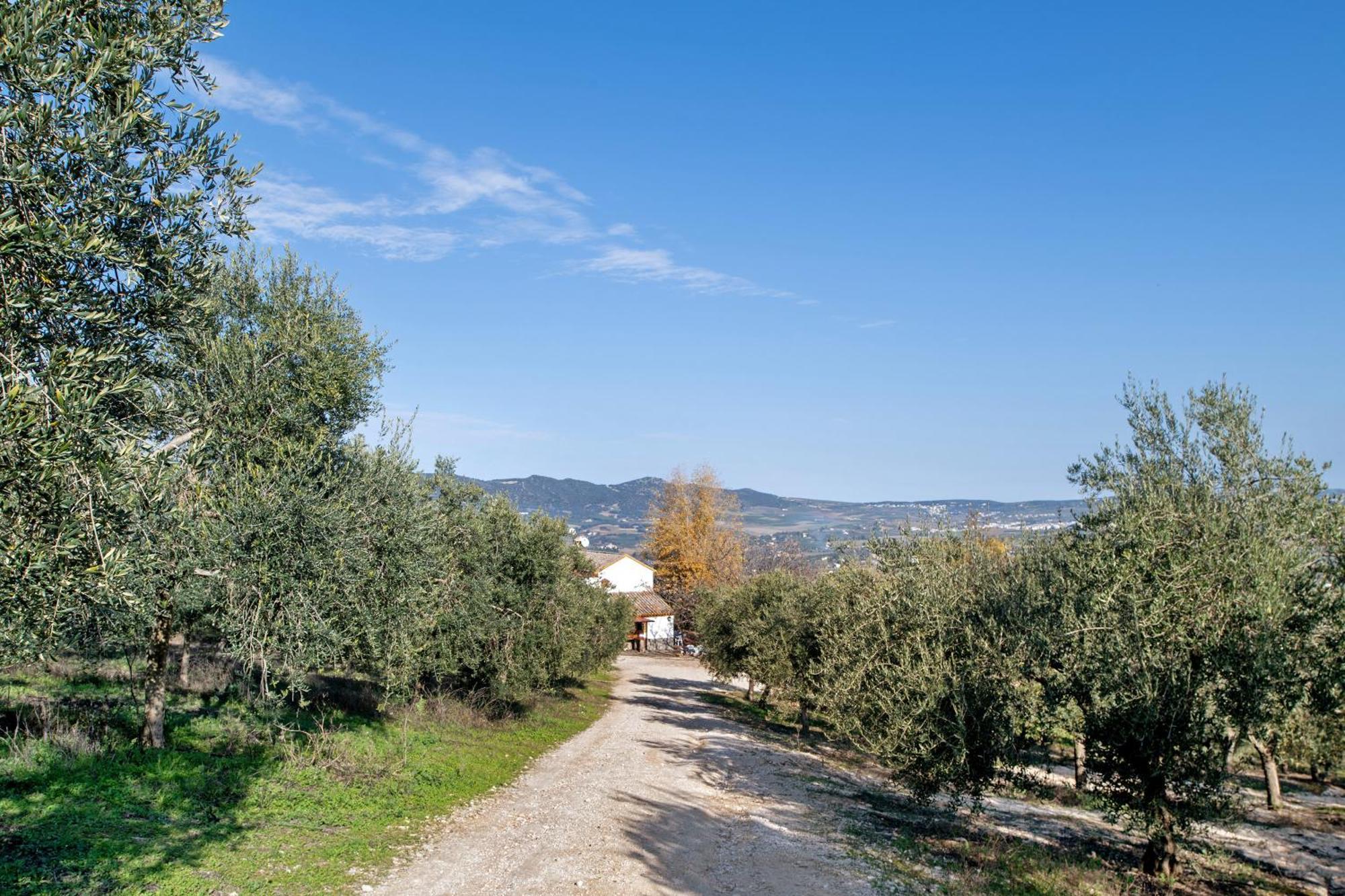 Casa Rural Fuente Dulce Ronda Luaran gambar